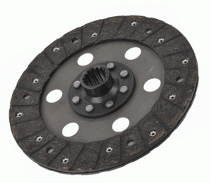 (ALI) - Rigid disc with intermediate cushion segments